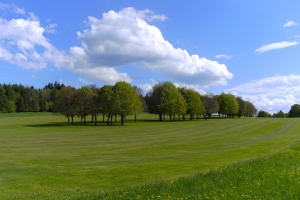 Fairway 18